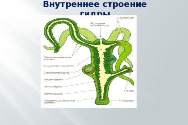 Взломали аккаунт на кракене что делать