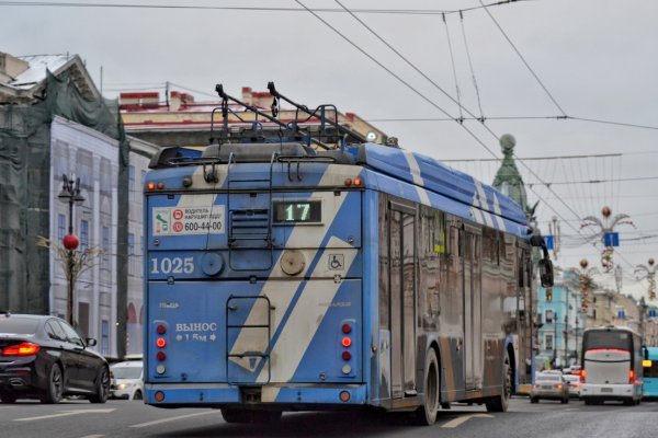 Значок кракена маркетплейса